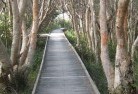 Millbank NSWsustainable-landscaping-14.jpg; ?>