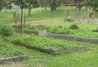 Millbank NSWsustainable-landscaping-19.jpg; ?>