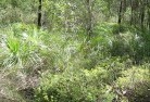 Millbank NSWsustainable-landscaping-21.jpg; ?>